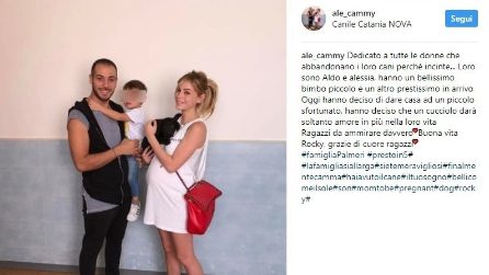 News Uomini e Donne: Aldo Palmeri stupisce Alessia e ...