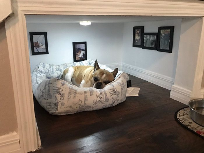 Costruisce unintera stanza per il suo cane nel sottoscala: la ... Cucina nel sottoscala