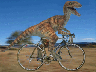 VELOCIRAPTOR - Pedala insieme a noi