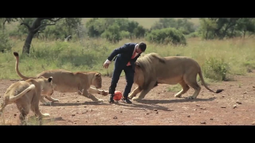 Attacchi Di Animali Feroci All Uomo Video