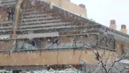Padova si veste di bianco, nevicata del 16 gennaio