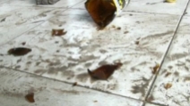 stretto ebano teen micio grandi foto figa bagnata