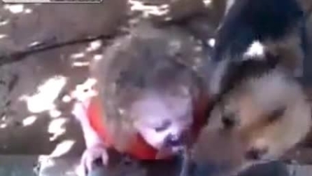 Bimba cerca di bere alla fontana, ma il cane glielo impedisce, che dispettoso!