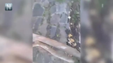 Você não vai acreditar em seus olhos! O que este homem encontra na costa é surpreendente!