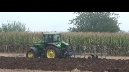 10 festa Contadina di Terno d'Isola del 28 9 2014