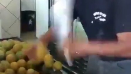 La versione reale di fruit ninja!