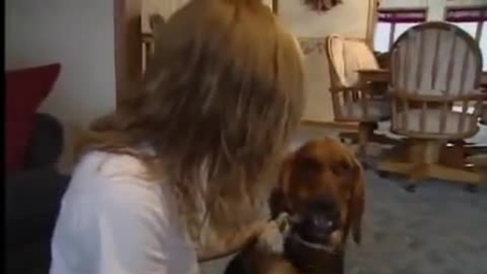 Salva la vita ad un cane abbandonato con i soldi che servivano per una nuova auto