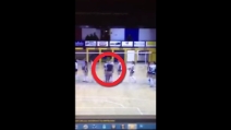 Pallavolo, tifoso entra in campo e aggredisce la giocatrice: 5 anni di Daspo
