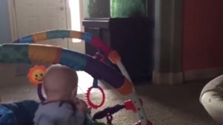 Questo bambino non ha idea della sorpresa che si nasconde dietro l'angolo