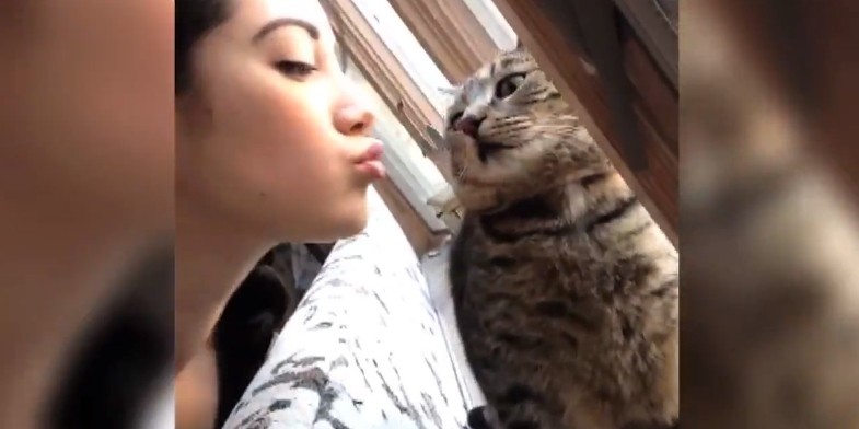 Cosa Pensano I Gatti Quando Li Baci