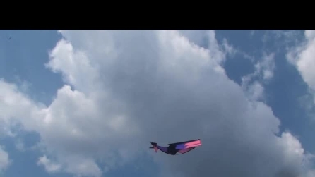 Aquiloni al bergamo volo del 21 6 2015 1° video
