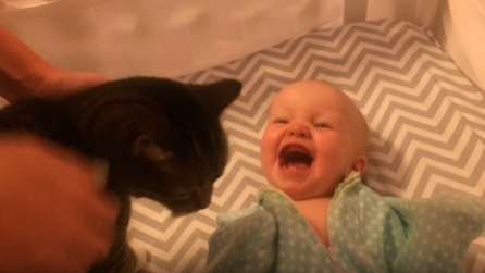 La reazione di questa neonata alla vista del gatto vi scalderà il cuore