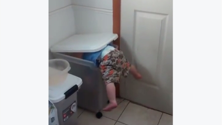Il bambino fa di tutto per arrivare al fondo dello scatolone, il motivo vi emozionerà