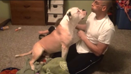 Inizia a fare uno strano verso in faccia al cane e quello che succede poi è esilarante