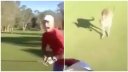 Stavano giocando a golf quando arriva un minaccioso canguro e scoppia il delirio