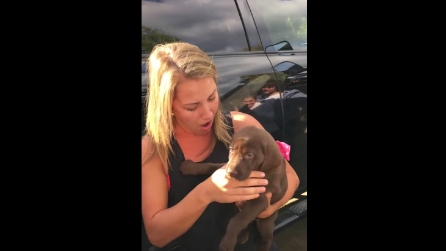 "Leggi il suo nome": la ragazza non può credere alla sorpresa emozionante che trova