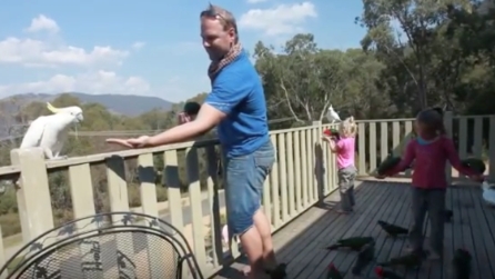 Il papà inizia a fischiare: quello che accade sul terrazzo è spettacolare