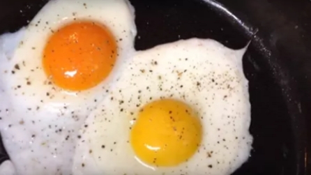 Il modo per capire se un uovo proviene da galline allevate "a terra"
