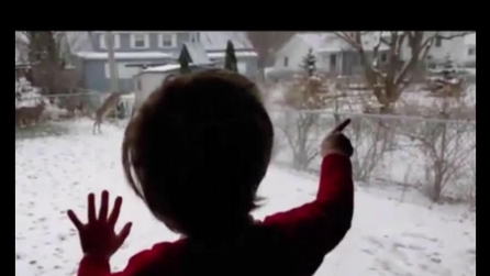 "Ne voglio uno", l'eccitazione del bambino alla vista dei cerbiatti sulla neve