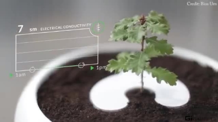 Commemorazione Dei Defunti Gli Epitaffi Piu Divertenti Che Abbiate Mai Visto