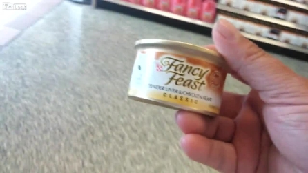 Un gesto semplice ma pieno d'amore: compra da mangiare per un "vagabondo"