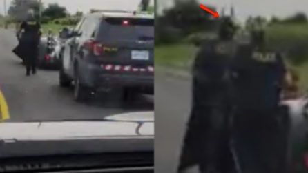 L'incontro più assurdo che si possa fare in strada