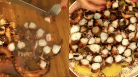 Polpo Bollito La Ricetta Per Prepararlo Alla Perfezione