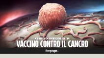 Vaccino contro il cancro, efficace nel 100% dei casi sui topi malati di tumore