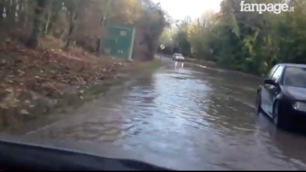 Automobilista vs strada allagata: l'uomo fa la peggiore scelta possibile