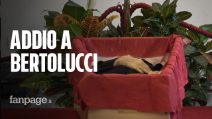 Ultimo saluto a Bernardo Bertolucci: "Il più grande regista della sua generazione"