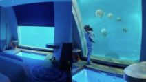 La suite da sogno nell'hotel: quando si alza il pannello appare un meraviglioso acquario in camera