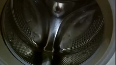 Come eliminare la muffa dalla guarnizione della lavatrice Come pulire guarnizione lavatrice