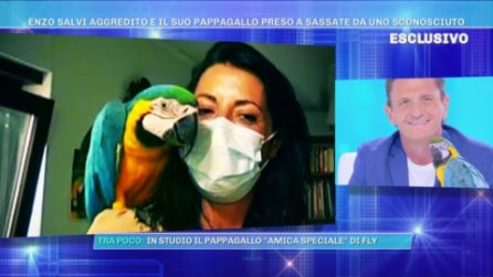 Enzo Salvi: "Il pappagallo Fly è tornato a volare e ha trovato l'amore, ecco Xena"