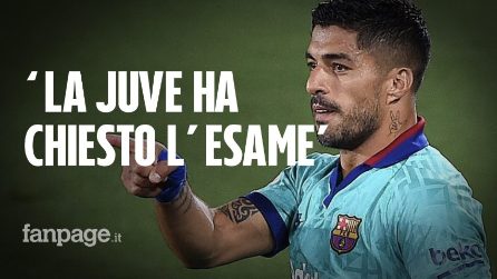 Suarez, il colonnello Sarri a Fanpage.it: "Università ammaliata dai rapporti con la Juventus"