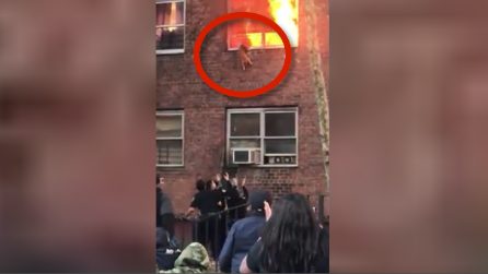Appartamento in fiamme, il gatto sulla finestra rischia di morire carbonizzato ma si salva