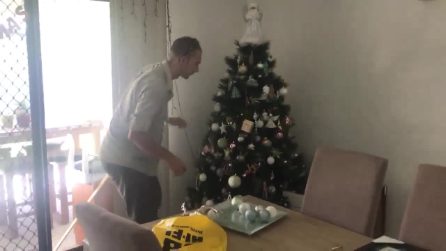 Sentono qualcosa muoversi dietro l'albero: quello che scoprono è raccapricciante