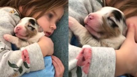 Guarda la tv con il suo piccolo amico appena arrivato: la scena è dolcissima