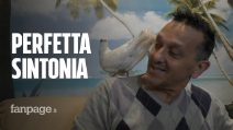 Il miracolo di Nuccio e della sua colomba Bianca: "È entrata dalla finestra e non mi ha più lasciato"