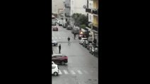 Reggio Calabria, le immagini dell’auto data alle fiamme con dentro la ex moglie