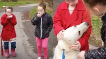 Rosie, il cane anziano salvato dal canile grazie all'amore di due sorelline