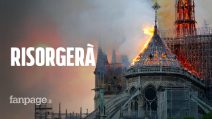 Notre-Dame, l’incendio che ha bruciato la storia: la Signora di Parigi non morirà mai
