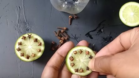 Repellente naturale contro le zanzare: ecco come prepararlo