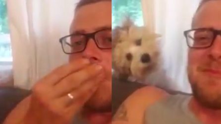 Il cane sente la parola "popcorn" e la sua reazione è esilarante