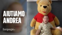 Il piccolo Andrea e la sindrome di Pkan: "Accumula ferro nel cervello, non c'è cura"