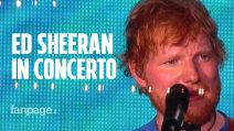 "Perché ci piace Ed Sheeran": i fan italiani parlano del loro amore per l'autore di Perfect