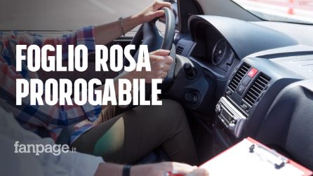 SCARICA CONTRASSEGNO P PER LA GUIDA CON FOGLIO ROSA