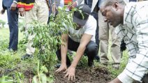 Piantano oltre 350 milioni di alberi in 12 ore. La missione dell'Etiopia contro la deforestazione