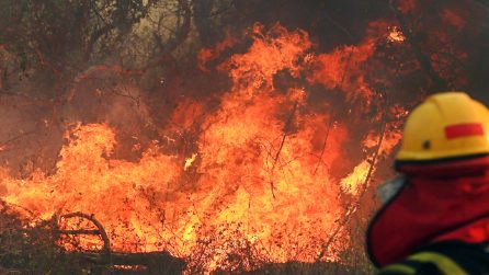 Incendi record in Brasile: l’Amazzonia brucia e con lei il “polmone verde” della nostra Terra