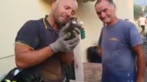 Vigile del fuoco salva un gattino e scoppia in lacrime: immagini emozionanti