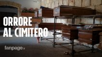 Palermo, al Cimitero dei Rotoli è emergenza senza fine: "È la vergogna del mondo"